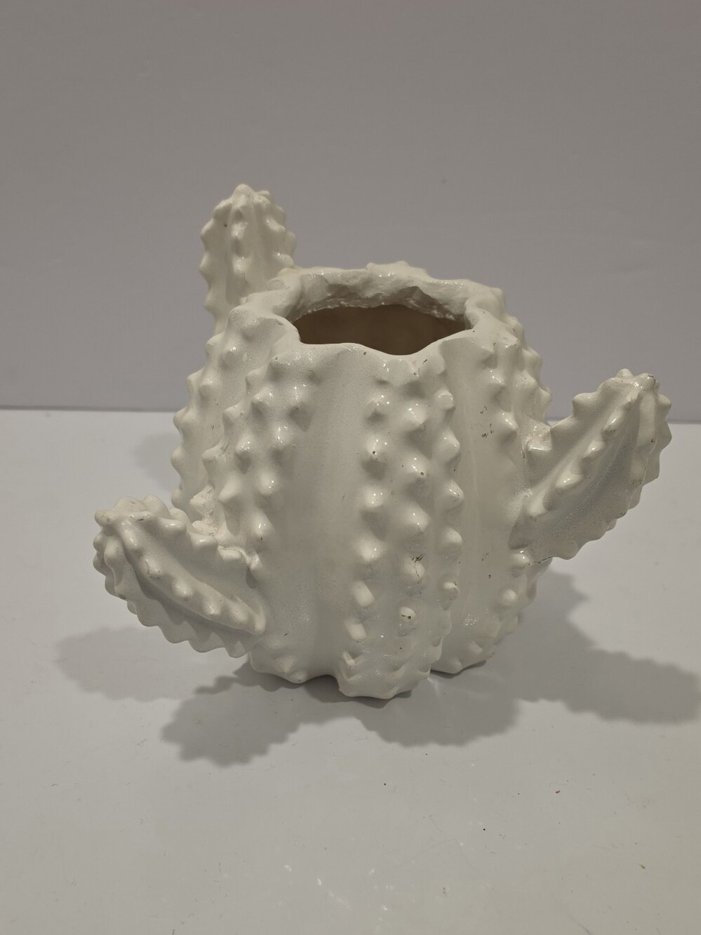 White Glazed Resin Cactus Planter/Vase